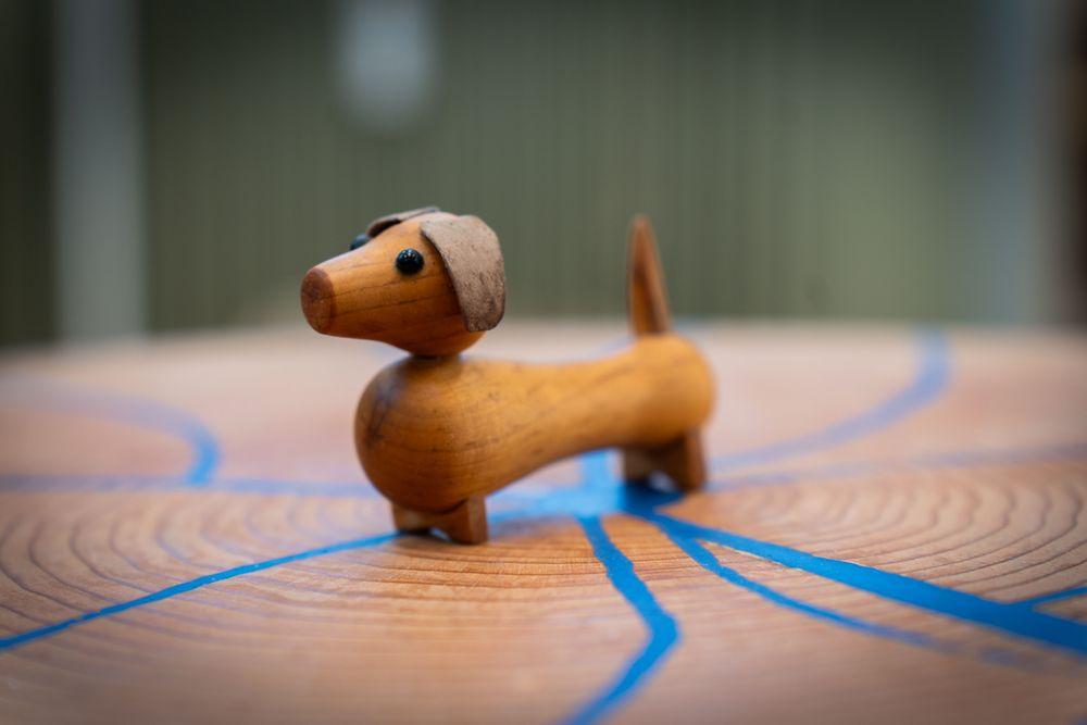 Gravhund