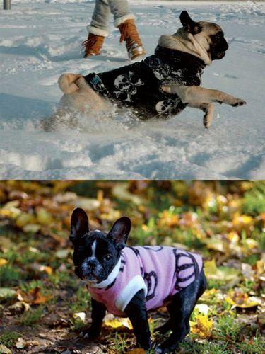 Thumbnail for 5.jpg